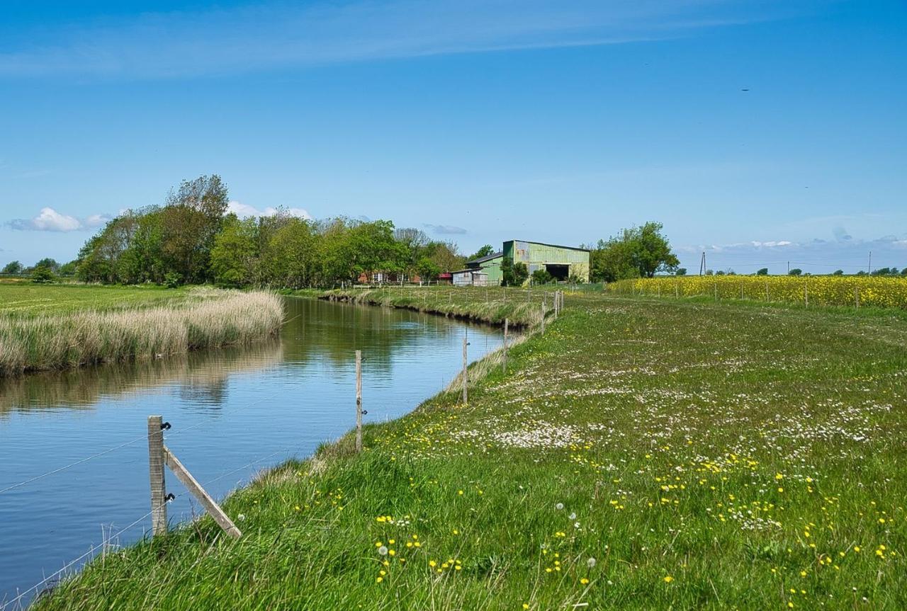 Fewo Auf Dem Lande / Nahe Spo Tumlauer Koog Eksteriør billede