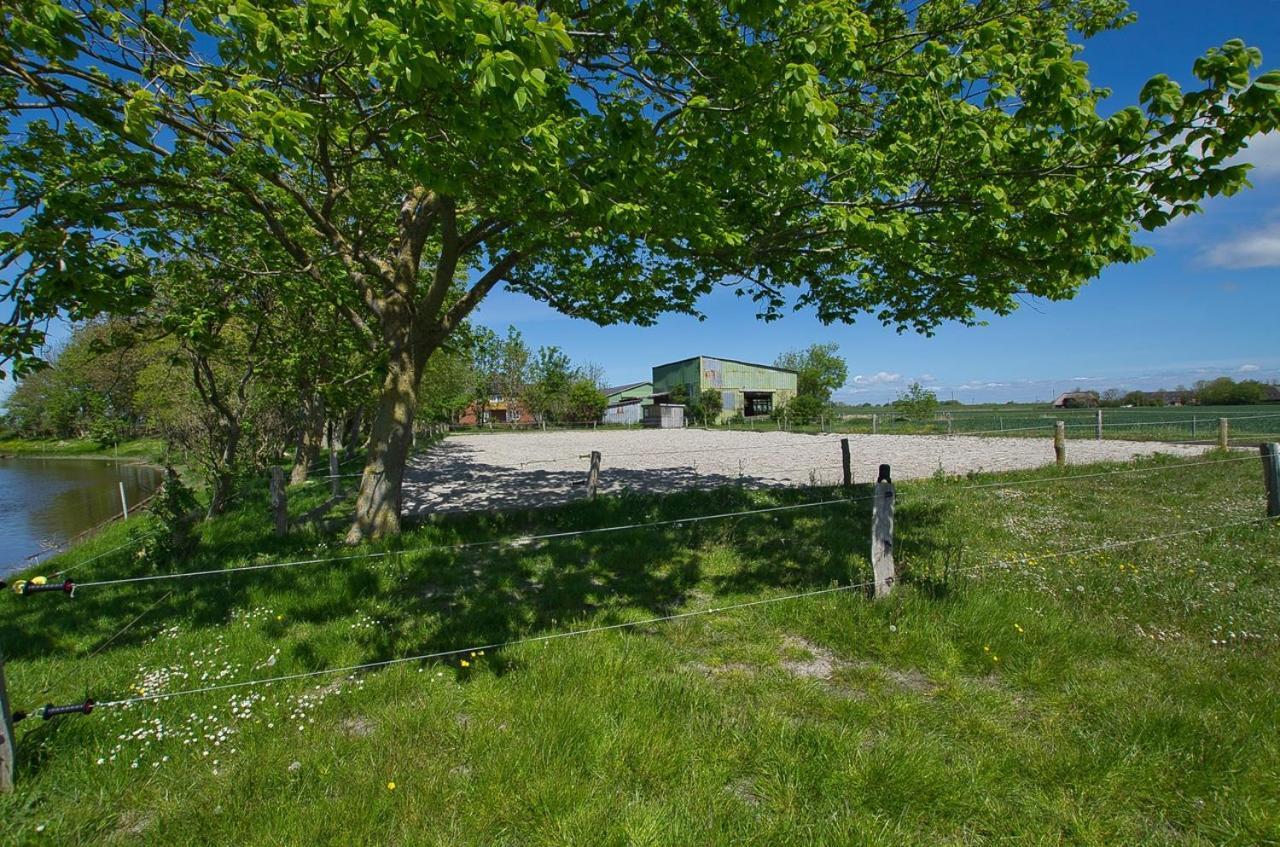 Fewo Auf Dem Lande / Nahe Spo Tumlauer Koog Eksteriør billede